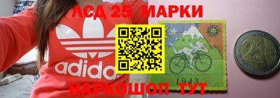 индика Гусев