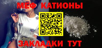 индика Гусев