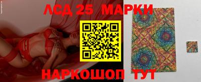индика Гусев