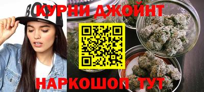 индика Гусев