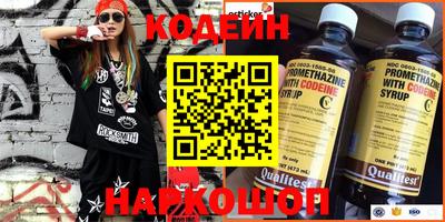 индика Гусев