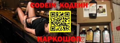 индика Гусев