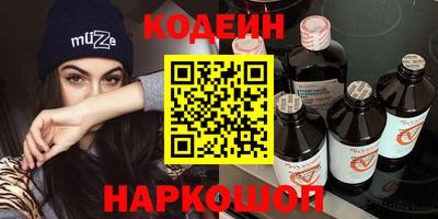 индика Гусев