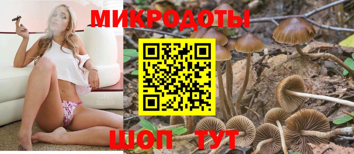 Галлюциногенные грибы Psilocybe  Псилоцибиновые грибы мухоморы  Нижневартовск  Вход с VPN 