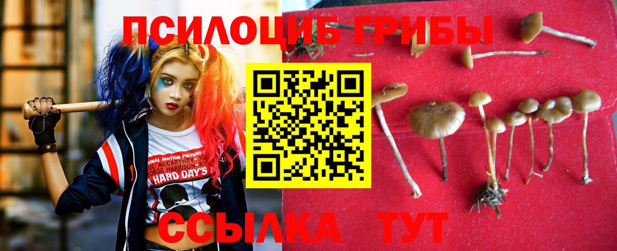 Галлюциногенные грибы мицелий Нижневартовск
